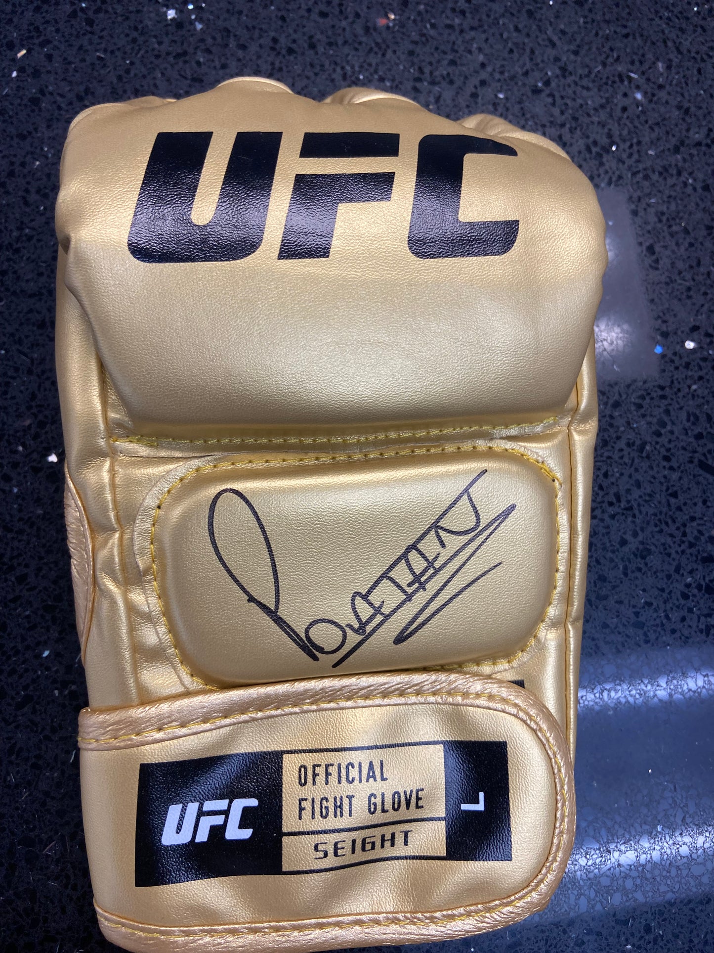Glove-Gold glove signed by Alex Pereira