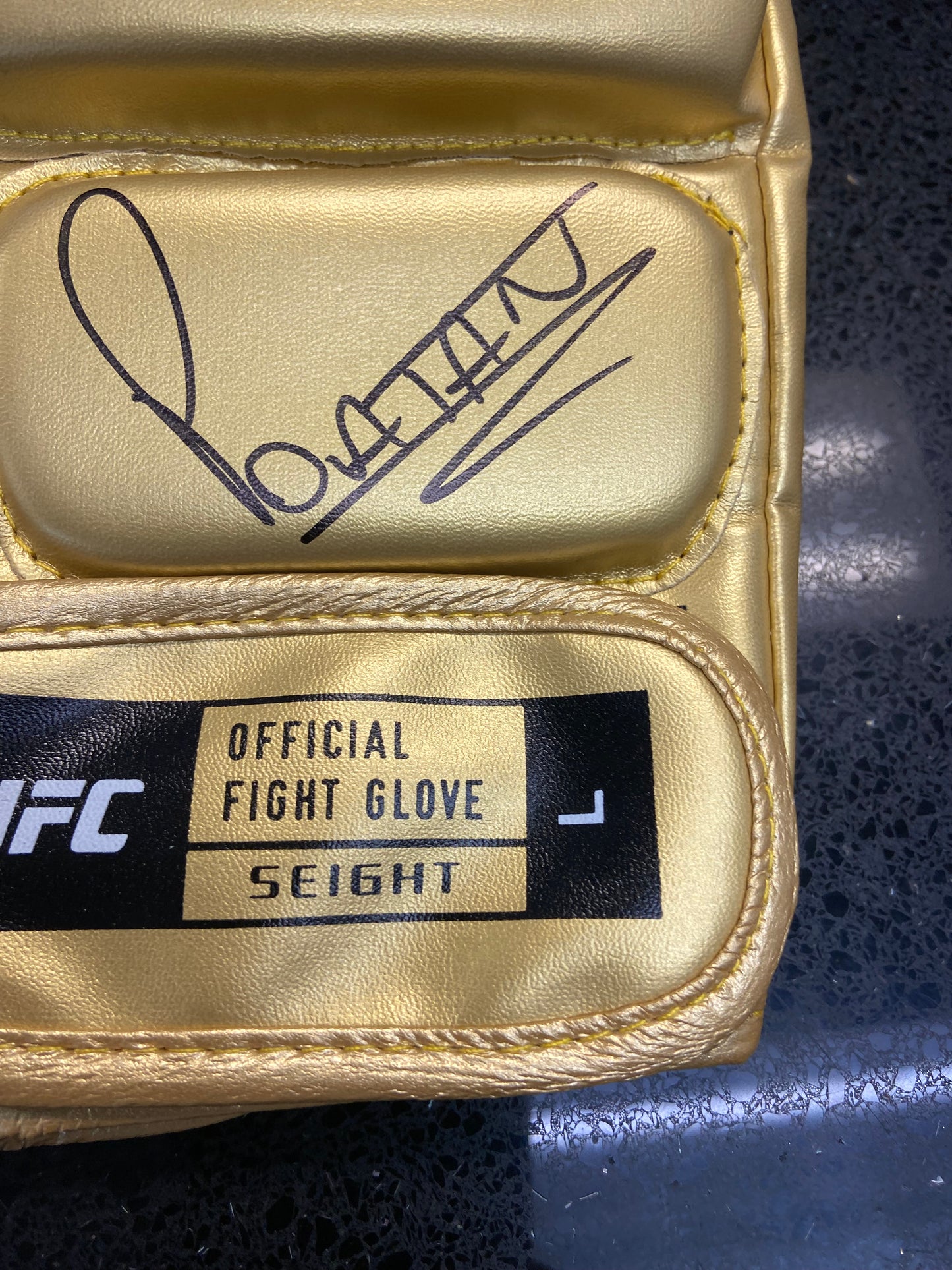 Glove-Gold glove signed by Alex Pereira